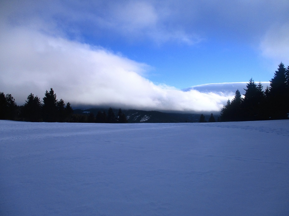 Foto: Andreas Koller / Schneeschuhtour / Hebalm - Klassiker Bärofen (1720m) / 19.02.2021 03:10:30