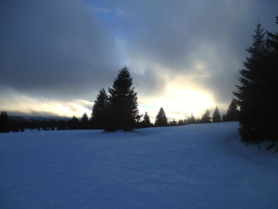 Foto: Andreas Koller / Schneeschuhtour / Hebalm - Klassiker Bärofen (1720m) / 19.02.2021 03:10:11
