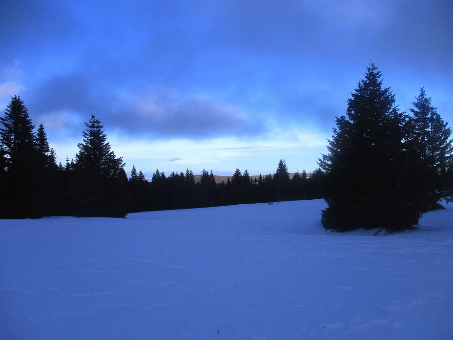 Foto: Andreas Koller / Schneeschuhtour / Hebalm - Klassiker Bärofen (1720m) / 19.02.2021 03:10:05