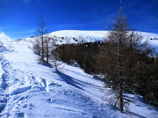 Foto: Andreas Koller / Skitour / Von Flattnitz auf die Kalteben (2145m) / 28.02.2021 02:34:21