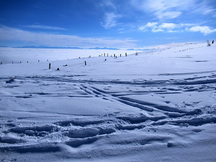 Foto: Andreas Koller / Skitour / Von Flattnitz auf die Kalteben (2145m) / 28.02.2021 02:33:22