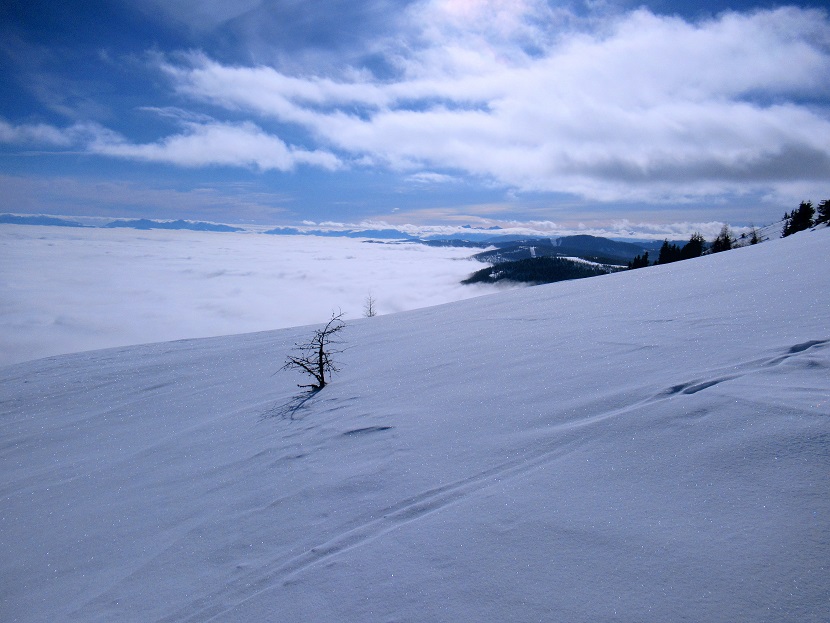 Foto: Andreas Koller / Skitour / Von Flattnitz auf die Kalteben (2145m) / 28.02.2021 02:32:03