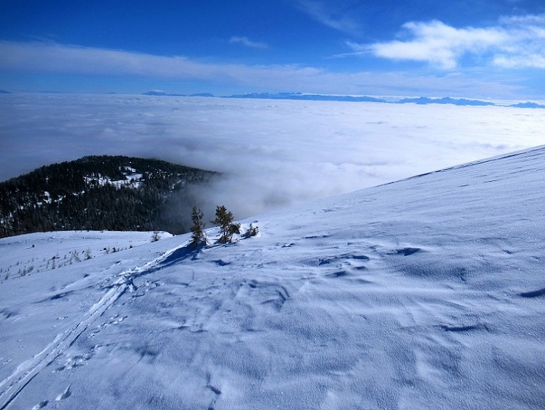 Foto: Andreas Koller / Skitour / Von Flattnitz auf die Kalteben (2145m) / 28.02.2021 02:31:47