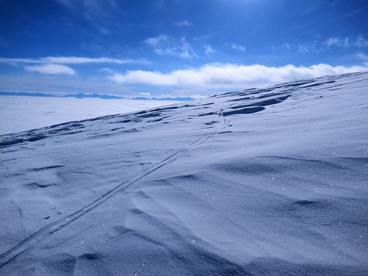 Foto: Andreas Koller / Skitour / Von Flattnitz auf die Kalteben (2145m) / 28.02.2021 02:31:21