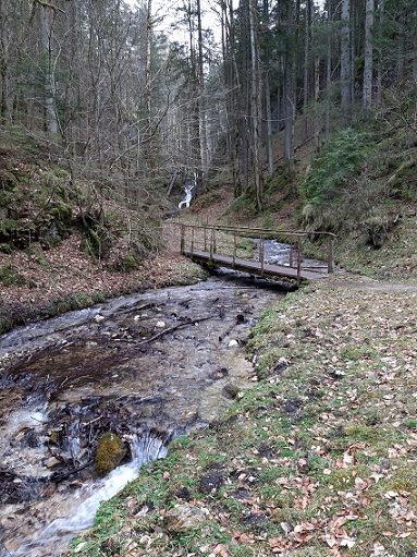 Foto: Wolfgang Dröthandl / Wandertour / Hohenberger Wasserfälle und Seebachquelle / romantischer Waldtobel / 07.03.2021 00:08:25