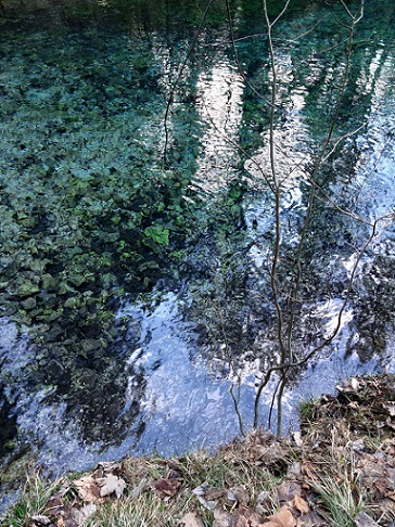Foto: Wolfgang Dröthandl / Wandertour / Hohenberger Wasserfälle und Seebachquelle / 07.03.2021 00:04:12