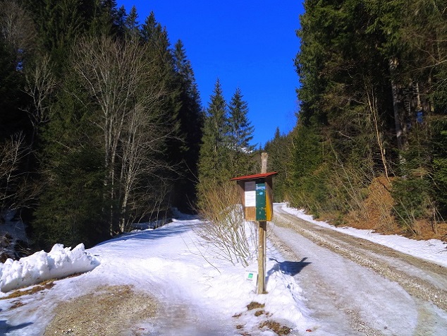 Foto: Andreas Koller / Skitour / Silberling aus dem Liesingtal (1930m) / Skitour auf den Silberling / 17.03.2021 23:00:33