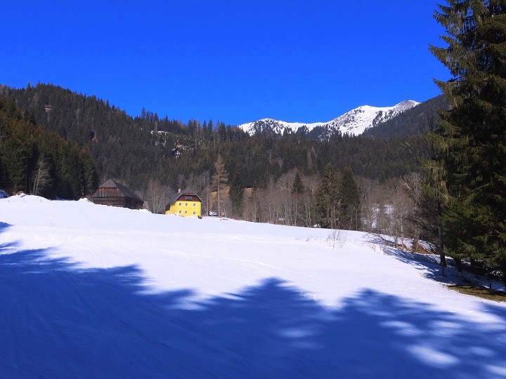 Foto: Andreas Koller / Skitour / Silberling aus dem Liesingtal (1930m) / Reichenstaller / 17.03.2021 23:00:08