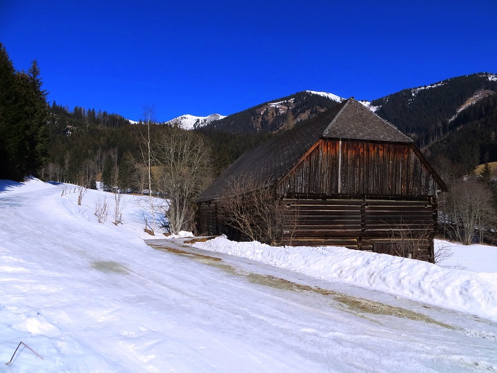 Foto: Andreas Koller / Skitour / Silberling aus dem Liesingtal (1930m) / 17.03.2021 22:59:53