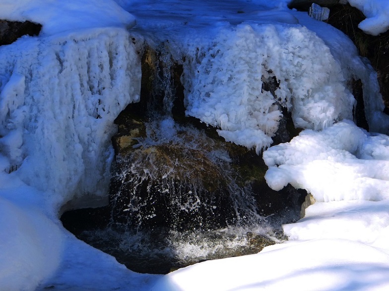Foto: Andreas Koller / Skitour / Silberling aus dem Liesingtal (1930m) / 17.03.2021 22:59:48