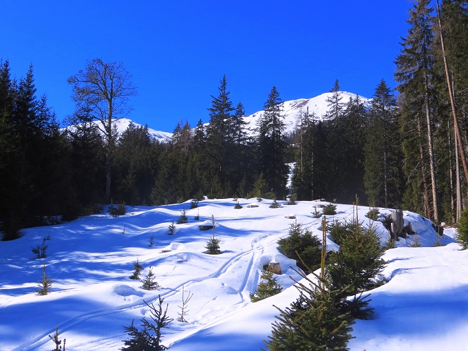 Foto: Andreas Koller / Skitour / Silberling aus dem Liesingtal (1930m) / 17.03.2021 22:59:42