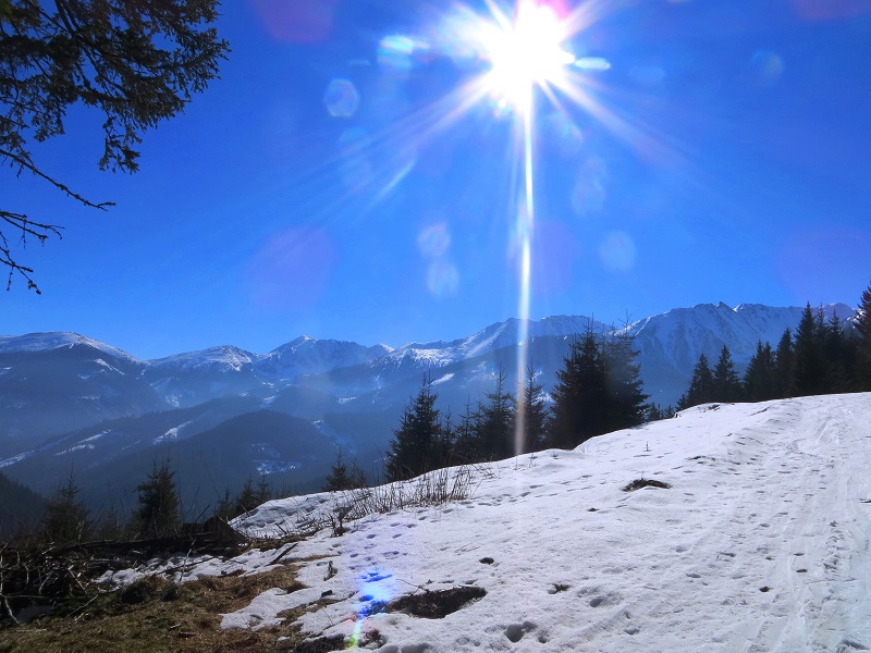 Foto: Andreas Koller / Skitour / Silberling aus dem Liesingtal (1930m) / 17.03.2021 22:59:33
