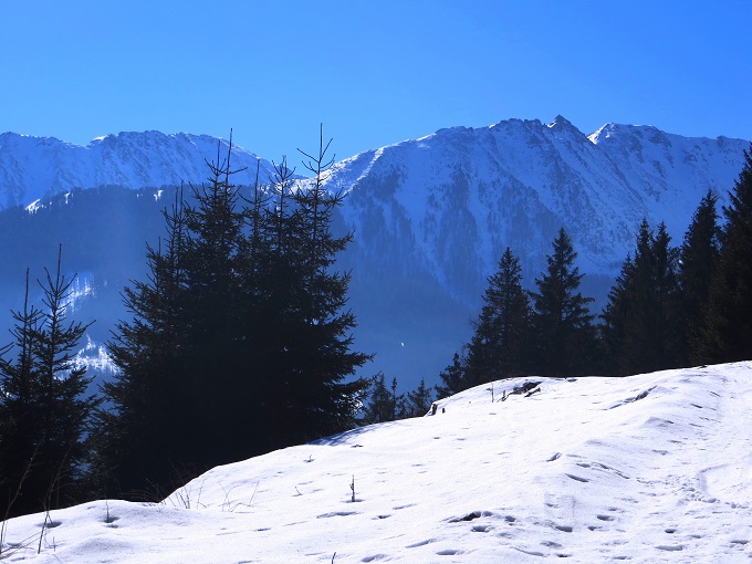 Foto: Andreas Koller / Skitour / Silberling aus dem Liesingtal (1930m) / 17.03.2021 22:59:27
