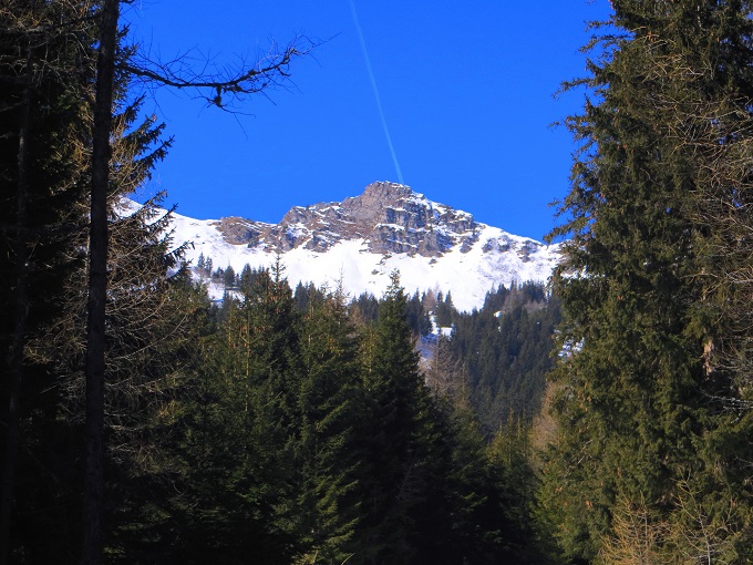 Foto: Andreas Koller / Skitour / Silberling aus dem Liesingtal (1930m) / 17.03.2021 22:59:20
