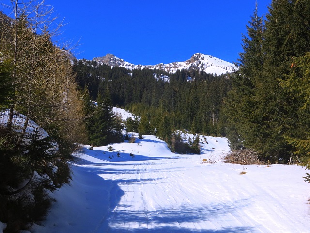 Foto: Andreas Koller / Skitour / Silberling aus dem Liesingtal (1930m) / 17.03.2021 22:59:06