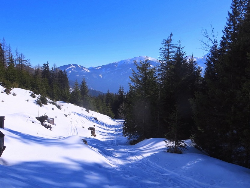 Foto: Andreas Koller / Skitour / Silberling aus dem Liesingtal (1930m) / 17.03.2021 22:59:00