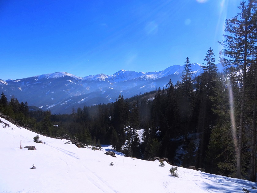 Foto: Andreas Koller / Skitour / Silberling aus dem Liesingtal (1930m) / 17.03.2021 22:58:46