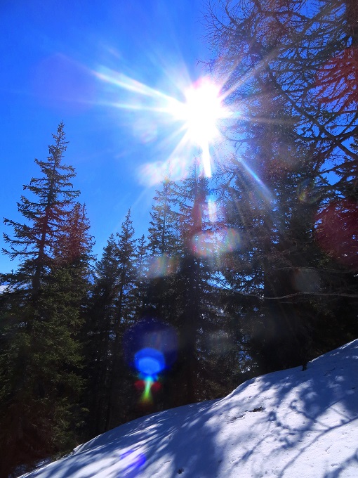 Foto: Andreas Koller / Skitour / Silberling aus dem Liesingtal (1930m) / 17.03.2021 22:58:39