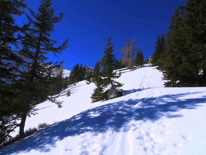 Foto: Andreas Koller / Skitour / Silberling aus dem Liesingtal (1930m) / 17.03.2021 22:58:27
