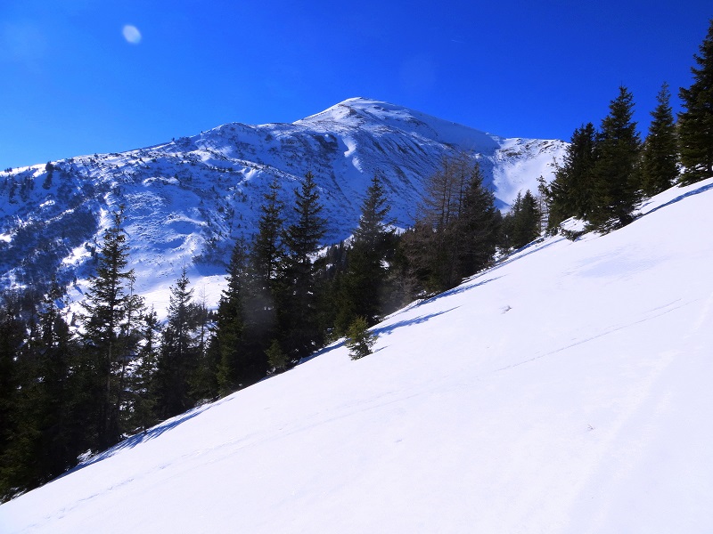 Foto: Andreas Koller / Skitour / Silberling aus dem Liesingtal (1930m) / 17.03.2021 22:58:21