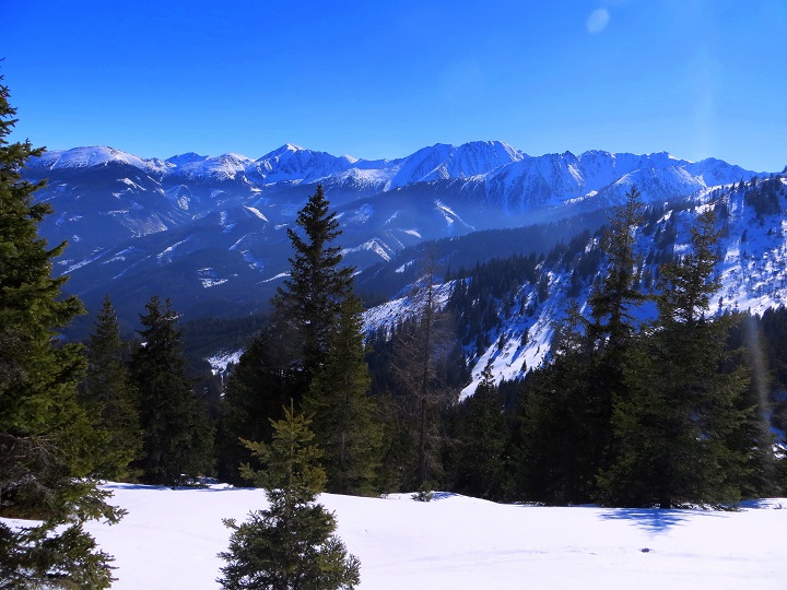 Foto: Andreas Koller / Skitour / Silberling aus dem Liesingtal (1930m) / 17.03.2021 22:58:15