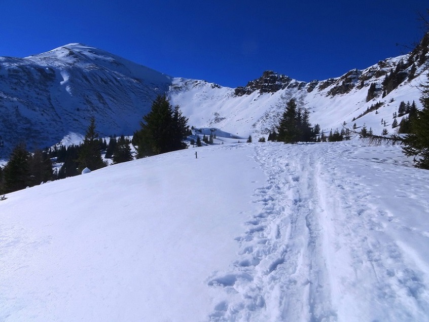 Foto: Andreas Koller / Skitour / Silberling aus dem Liesingtal (1930m) / 17.03.2021 22:58:08