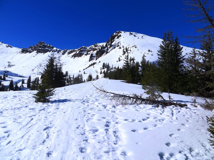 Foto: Andreas Koller / Skitour / Silberling aus dem Liesingtal (1930m) / 17.03.2021 22:58:01
