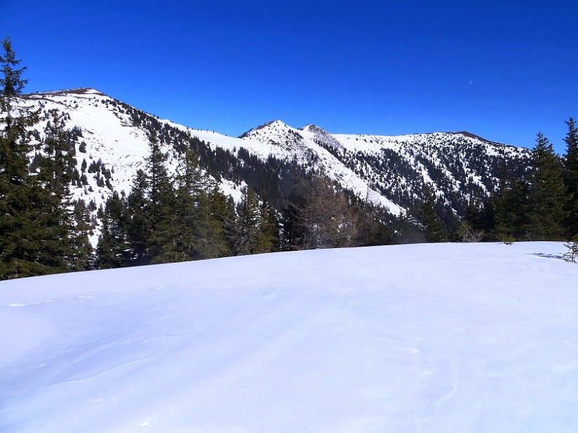 Foto: Andreas Koller / Skitour / Silberling aus dem Liesingtal (1930m) / 17.03.2021 22:57:55