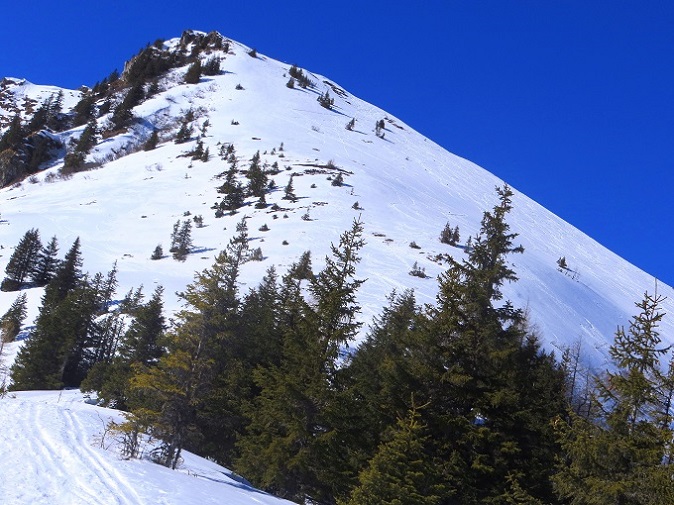 Foto: Andreas Koller / Skitour / Silberling aus dem Liesingtal (1930m) / Der Silberling / 17.03.2021 22:57:48