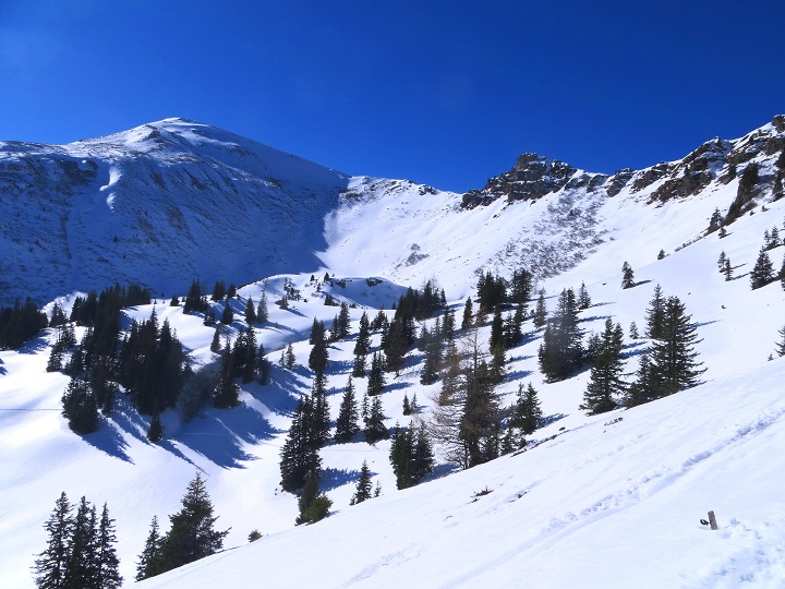 Foto: Andreas Koller / Skitour / Silberling aus dem Liesingtal (1930m) / 17.03.2021 22:57:32