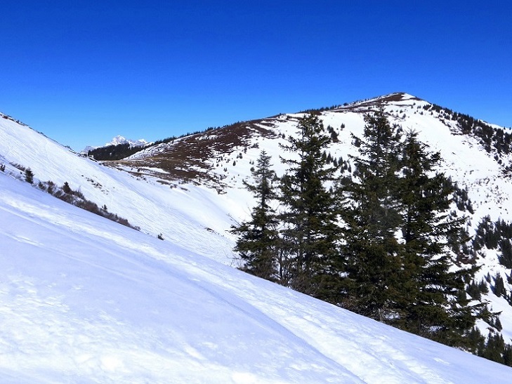 Foto: Andreas Koller / Skitour / Silberling aus dem Liesingtal (1930m) / 17.03.2021 22:57:25