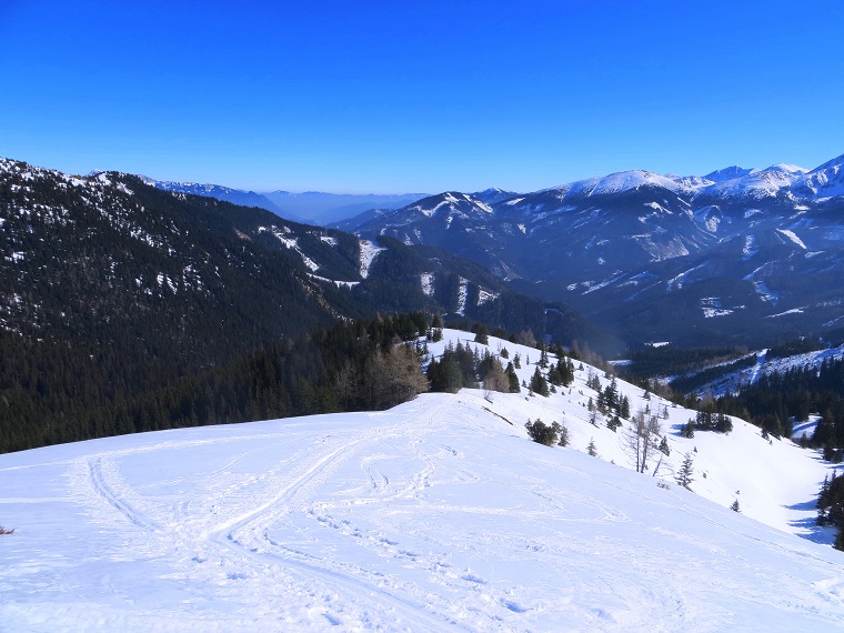 Foto: Andreas Koller / Skitour / Silberling aus dem Liesingtal (1930m) / 17.03.2021 22:57:05