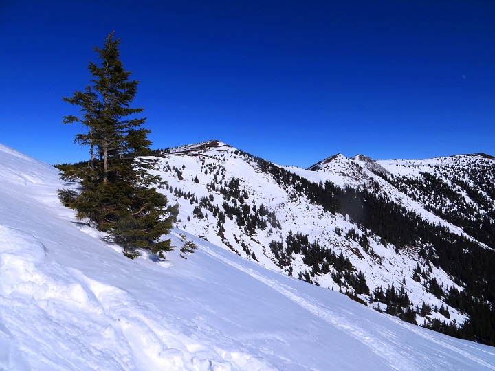 Foto: Andreas Koller / Skitour / Silberling aus dem Liesingtal (1930m) / 17.03.2021 22:56:58