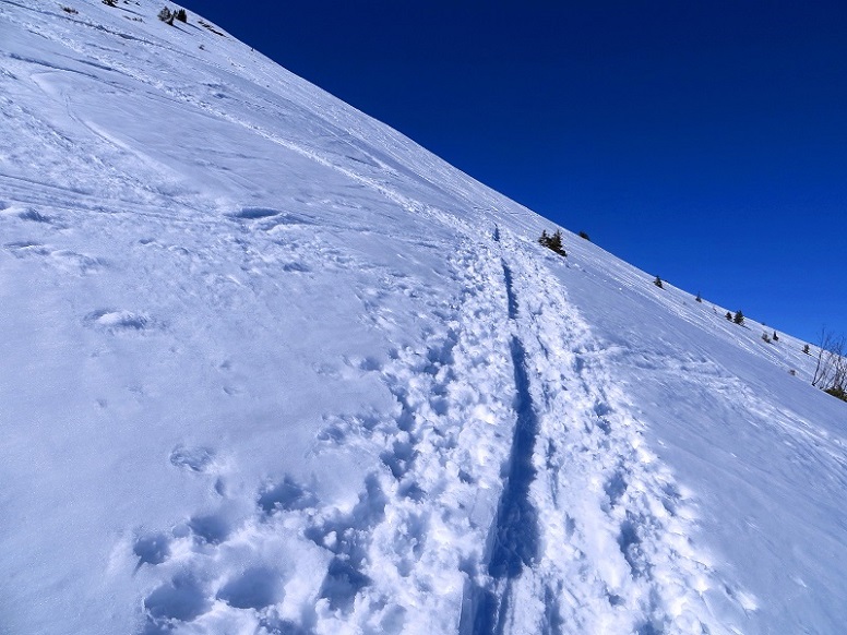 Foto: Andreas Koller / Skitour / Silberling aus dem Liesingtal (1930m) / 17.03.2021 22:56:50
