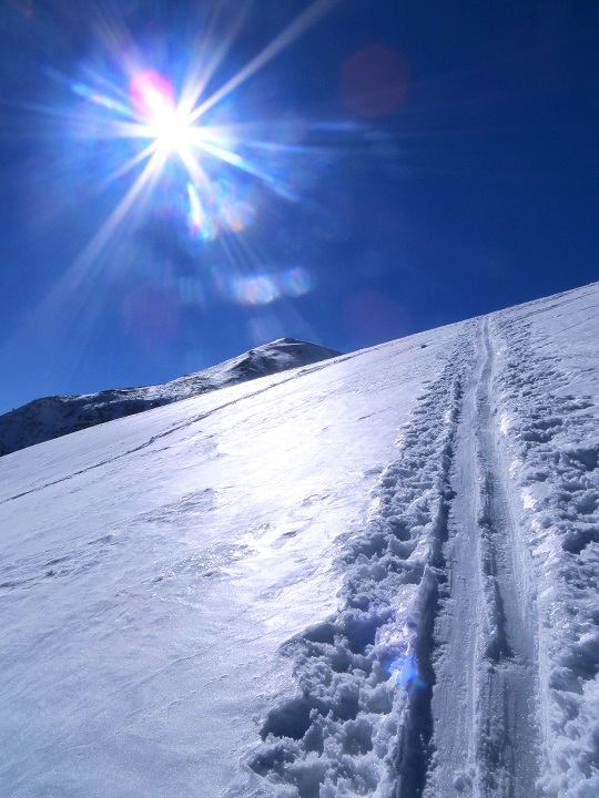 Foto: Andreas Koller / Skitour / Silberling aus dem Liesingtal (1930m) / 17.03.2021 22:56:36
