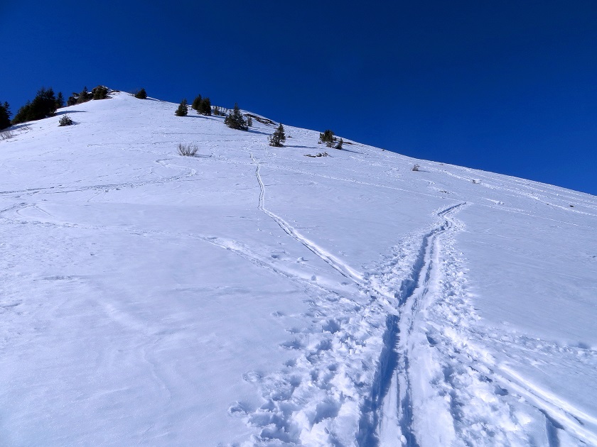 Foto: Andreas Koller / Skitour / Silberling aus dem Liesingtal (1930m) / 17.03.2021 22:56:30