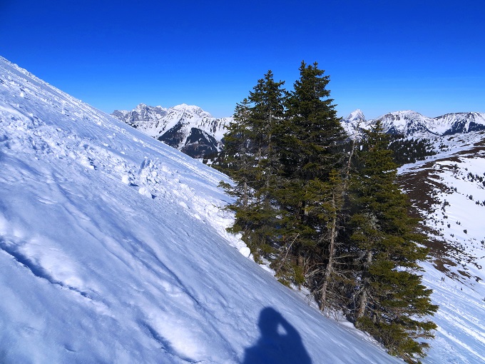Foto: Andreas Koller / Skitour / Silberling aus dem Liesingtal (1930m) / 17.03.2021 22:55:52