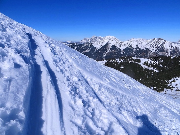 Foto: Andreas Koller / Skitour / Silberling aus dem Liesingtal (1930m) / 17.03.2021 22:55:38
