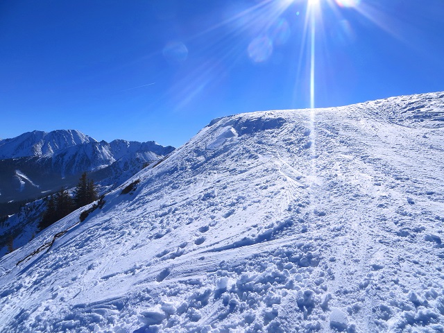 Foto: Andreas Koller / Skitour / Silberling aus dem Liesingtal (1930m) / 17.03.2021 22:55:22