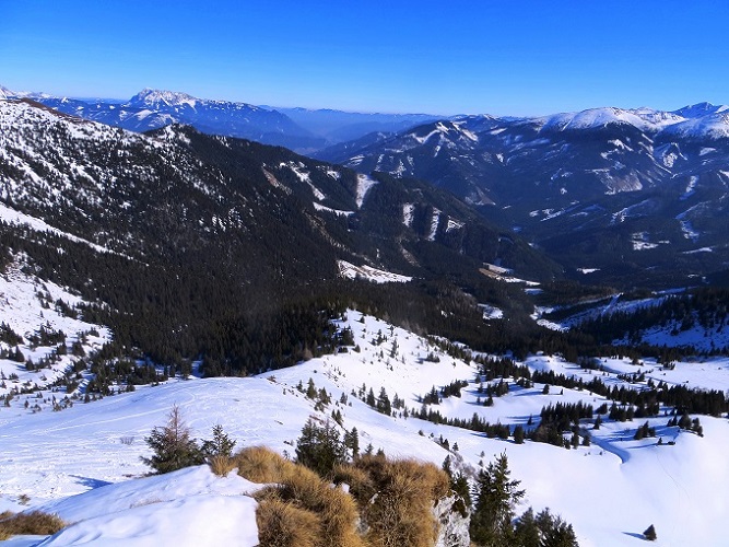 Foto: Andreas Koller / Skitour / Silberling aus dem Liesingtal (1930m) / 17.03.2021 22:53:59