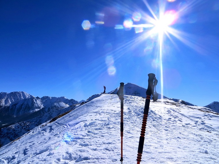 Foto: Andreas Koller / Skitour / Silberling aus dem Liesingtal (1930m) / 17.03.2021 22:52:23
