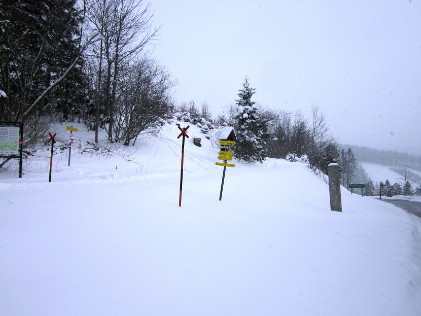 Foto: Andreas Koller / Schneeschuhtour / Schneeschuhwandern am Arabichl (1595m) / Vom Feistritzsattel zum Arabichl / 26.03.2021 21:46:55