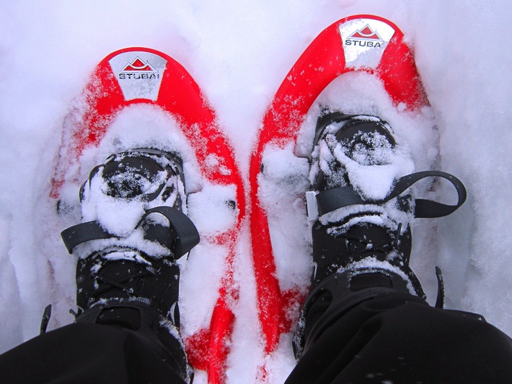 Foto: Andreas Koller / Schneeschuhtour / Schneeschuhwandern am Arabichl (1595m) / 26.03.2021 21:45:08