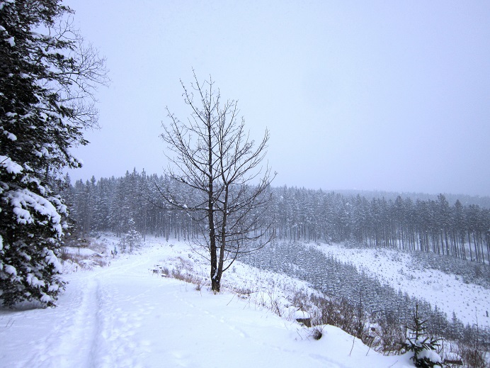 Foto: Andreas Koller / Schneeschuhtour / Schneeschuhwandern am Arabichl (1595m) / 26.03.2021 21:45:02