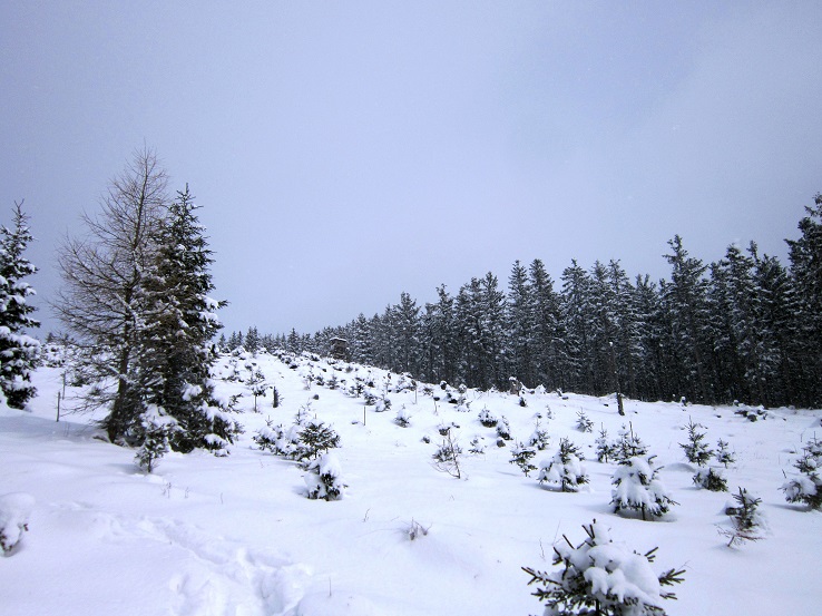 Foto: Andreas Koller / Schneeschuhtour / Schneeschuhwandern am Arabichl (1595m) / 26.03.2021 21:44:34