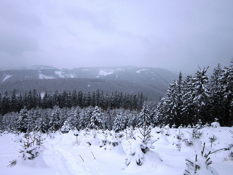Foto: Andreas Koller / Schneeschuhtour / Schneeschuhwandern am Arabichl (1595m) / 26.03.2021 21:44:22