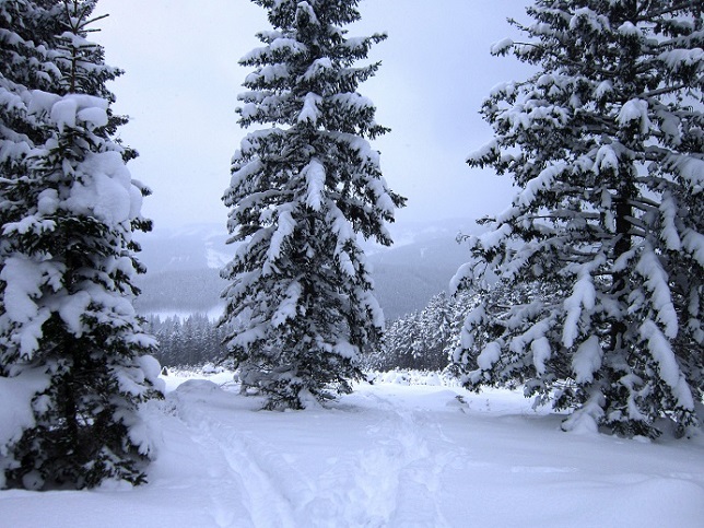 Foto: Andreas Koller / Schneeschuhtour / Schneeschuhwandern am Arabichl (1595m) / 26.03.2021 21:44:16