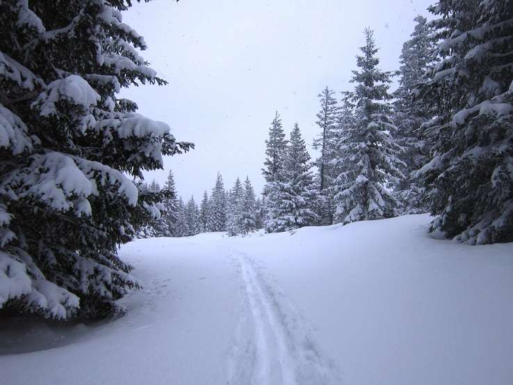 Foto: Andreas Koller / Schneeschuhtour / Schneeschuhwandern am Arabichl (1595m) / 26.03.2021 21:44:03