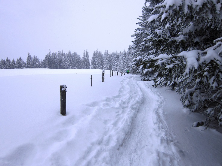 Foto: Andreas Koller / Schneeschuhtour / Schneeschuhwandern am Arabichl (1595m) / 26.03.2021 21:43:23