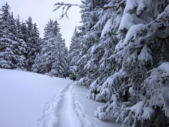 Foto: Andreas Koller / Schneeschuhtour / Schneeschuhwandern am Arabichl (1595m) / 26.03.2021 21:43:12